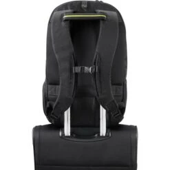 AmericanTourister Laptop-Rucksack Work-E, Bis 17,3 Zoll / 43,94cm, Recyceltes PET -Eastpak Shop 3083733f1910ccb746070c6d2dd336f62c157781 laptop rucksack americantourister work e
