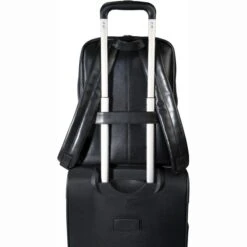 Exacompta Laptop-Rucksack Exactive, 17637E, Bis 15,6 Zoll / 39,6 Cm, Echt Leder -Eastpak Shop 368c799f229a0609c992c3bc39a0f207b6a25da0 laptop rucksack exacompta exactive 17637e